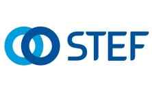 logo Stef